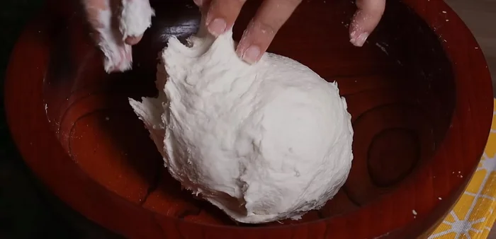 Place the dough in a food bag, let it rest (optional: ferment overnight).