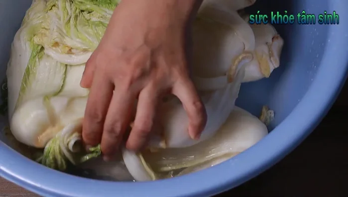After 2+ hours, wash the salted cabbage thoroughly (5-7 times) to remove excess salt and separate leaves.