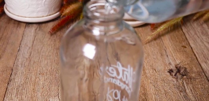 Pour half a liter of sticky rice wine into the bottle.
