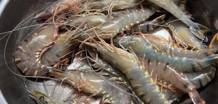 Wash live shrimp and freeze for about an hour to make peeling easier.