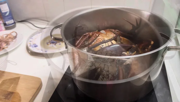 Boil the water and add crabs briefly. Remove crabs and separate meat.