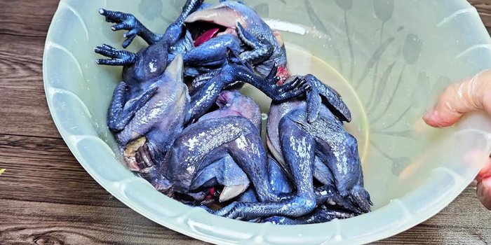 Rinse the chickens thoroughly after massaging.