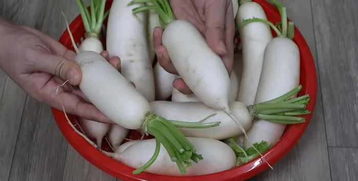 Wash the radish with salt water. Remove the ends and cut the radish in half lengthwise. Then, slice into small pieces, about the thickness of your little finger. Leave the skin on for extra crispiness.