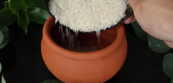 Wash and soak the clay pot in water for 5-10 minutes. Add 200g of rice to the pot, wash thoroughly, and add 220ml of water.