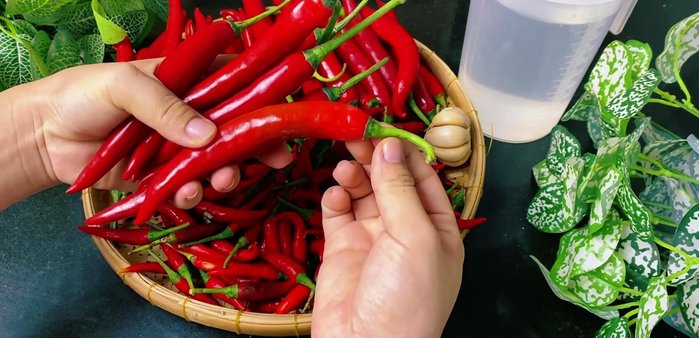 Wash and remove stems from chili peppers. If you prefer spicier chili, adjust the ratio of spicy to non-spicy peppers (45.0)