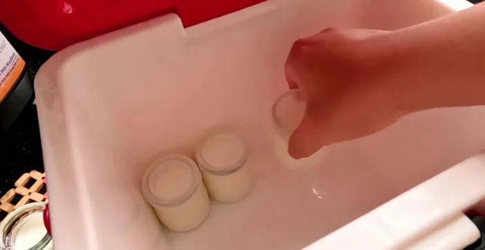 Incubate: Place the jars in an insulated container (182.159). Arrange close together to retain heat (188.44). Cover and incubate for 8-10 hours or longer for a more sour yogurt (196.92).