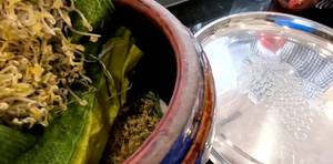 Homemade Bean Sprouts: Rice Bag Method (Clean & Delicious)