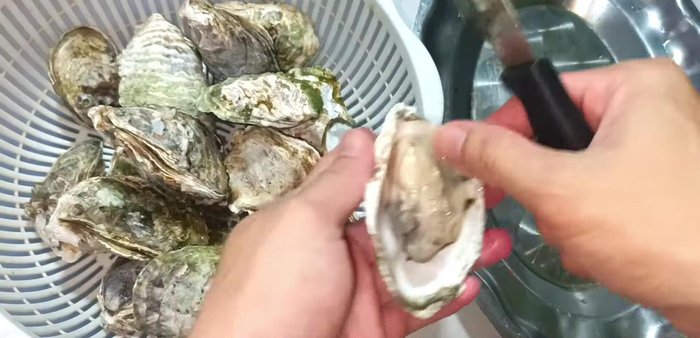 Once cooled, carefully separate the oysters from their shells using a knife. Remove any wormy parts.