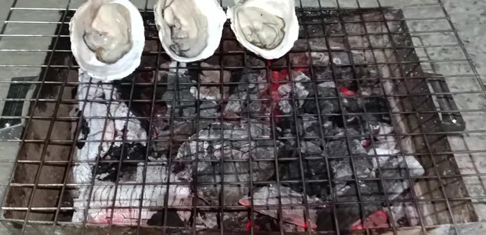 Grill the oysters until hot and bubbly.
