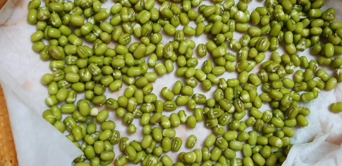 Place the container in a warm, dark place. This will help the beans sprout faster.