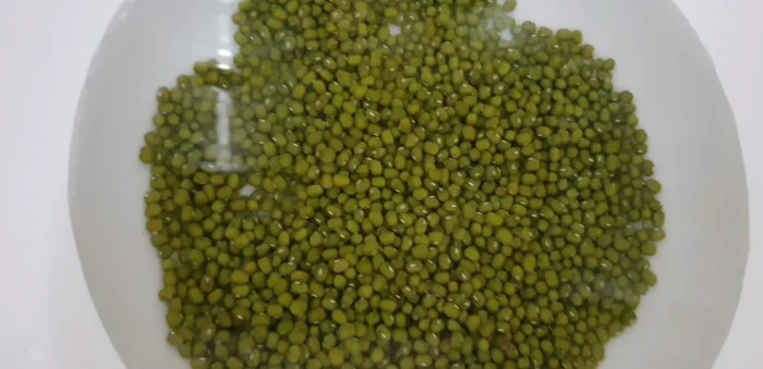 Start by placing mung beans in a container.