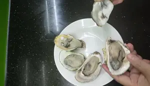 Quick & Easy Oyster Recipes: Steamed, Grilled, or Baked!