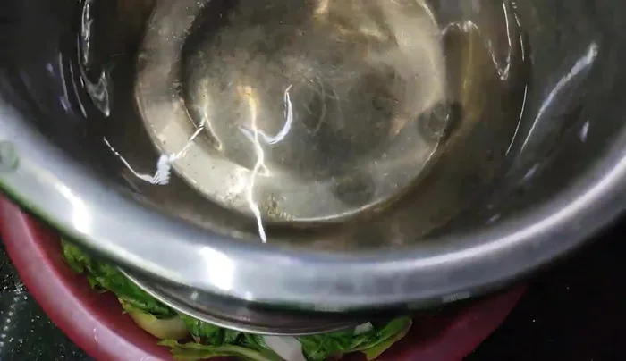 Pour warm water (around 40 degrees Celsius) over the cabbage and onion mixture. Press down and leave for about half a day.