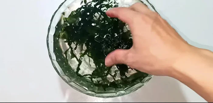 Soak seaweed in water for 5 minutes to expand. (67.04)