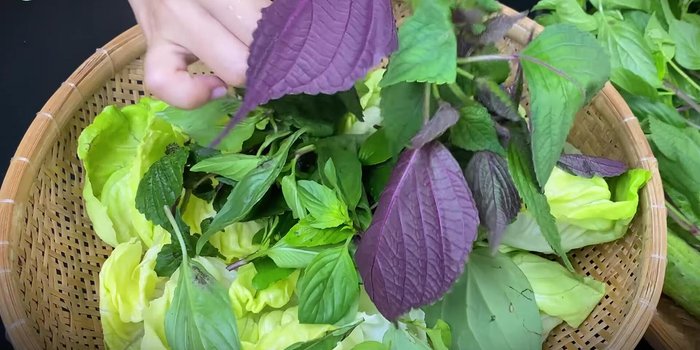 Prepare the vegetables: wash and chop lettuce, herbs, cucumber, and carrots.