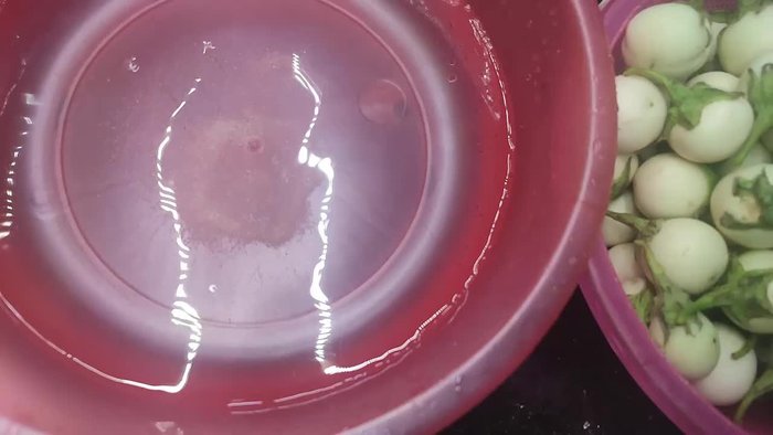 Soak the eggplant in the salt water (adding vinegar or lemon juice is optional). This will help release sap and maintain the eggplant's white color and crispiness.