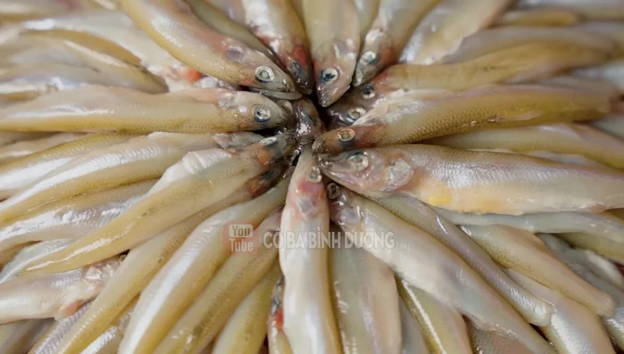 Rinse cleaned anchovies with diluted salt water and a little white wine to remove fishy smell.