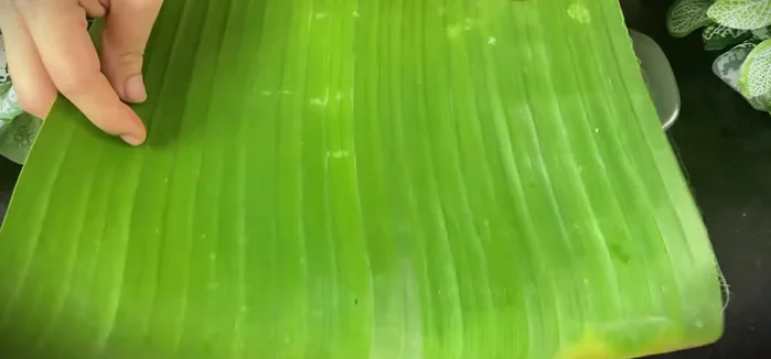 Place the rolled rice balls into a clay pot, sprinkle with additional salt water, and cover with banana leaves and a cloth. Keep the pot in a dark, cool place for 2-3 days (or until fermented).