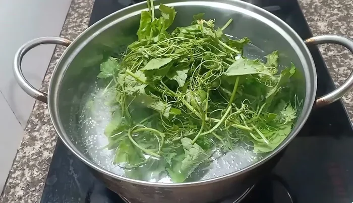 Add the washed squash shoots to the boiling water.
