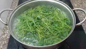 Delicious Boiled Green Squash and Luffa Shoots Recipe