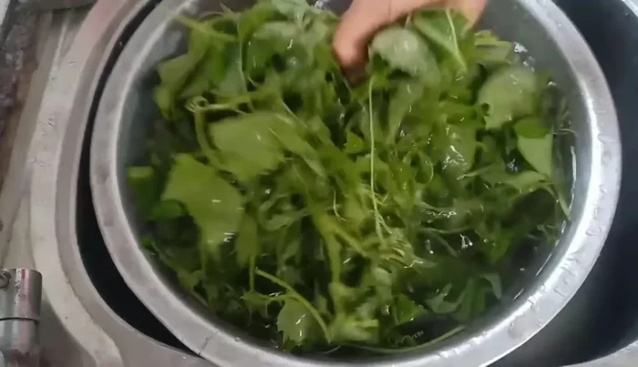 Wash the squash shoots thoroughly three times. If wilted, soak them in water for about 5 minutes.