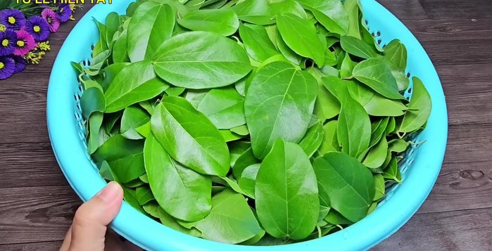 Prepare 100g of fresh taro leaves. Weigh them before washing to ensure accurate measurement.