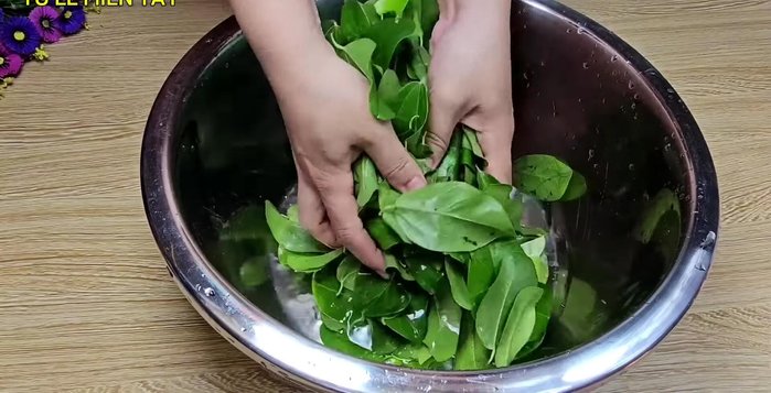 Add 500ml of water to the leaves. Gently massage the leaves to break them down. Add the remaining 400ml of water and continue until thoroughly mixed.
