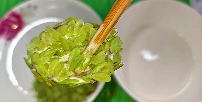 Heat cooking oil in a frying pan and fry the mushrooms over high heat until the green rice flakes are golden brown and crispy.