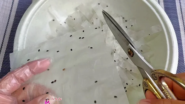Cut the sesame rice paper into long strips, small pieces, or squares.