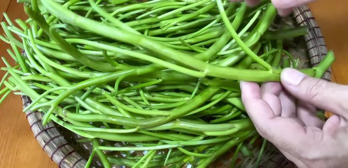 Prepare the water spinach: Remove leaves from old sections, cut off young shoots. Wash thoroughly multiple times with water, and once with diluted salt water.