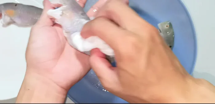 Mix the crispy flour with a small amount of water to help it adhere to the fish.