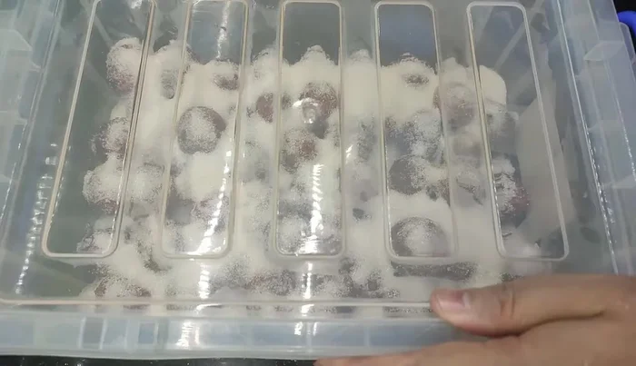 Let the plums soak in sugar for about 10 hours. The plum juice will come out and mix with the sugar.